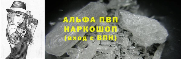 стаф Алексин