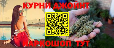 индика Гусь-Хрустальный