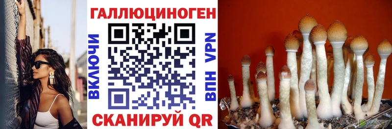 Галлюциногенные грибы Psilocybe Зерноград