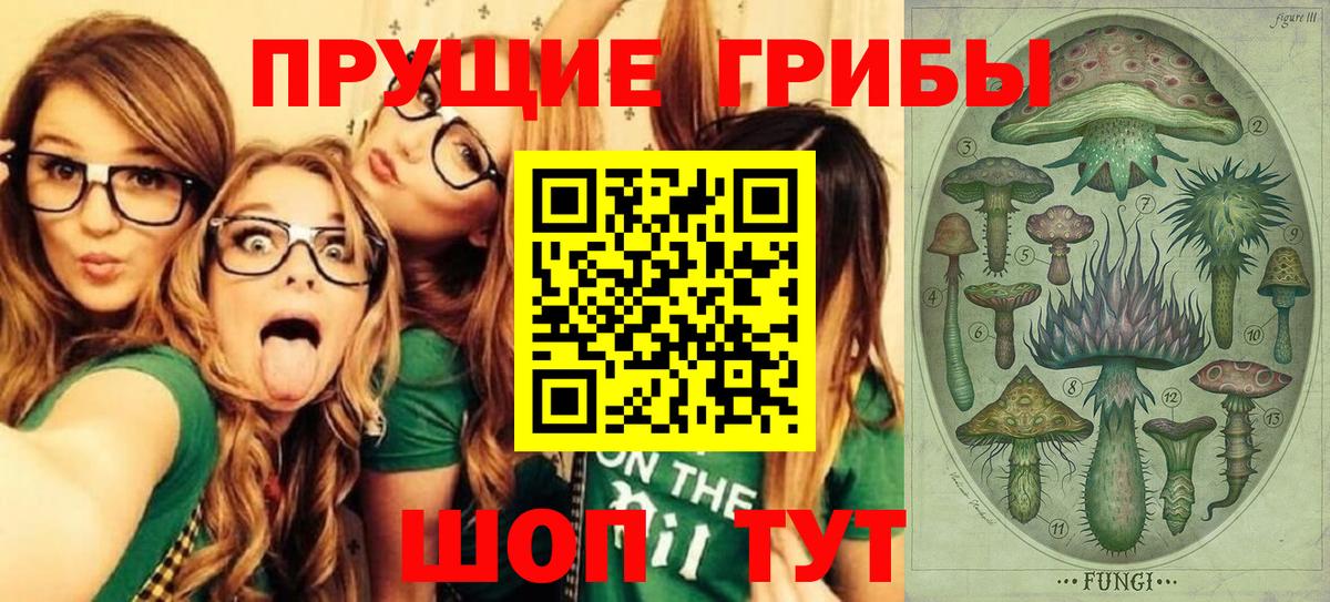 Псилоцибиновые грибы Psilocybine cubensis Зерноград