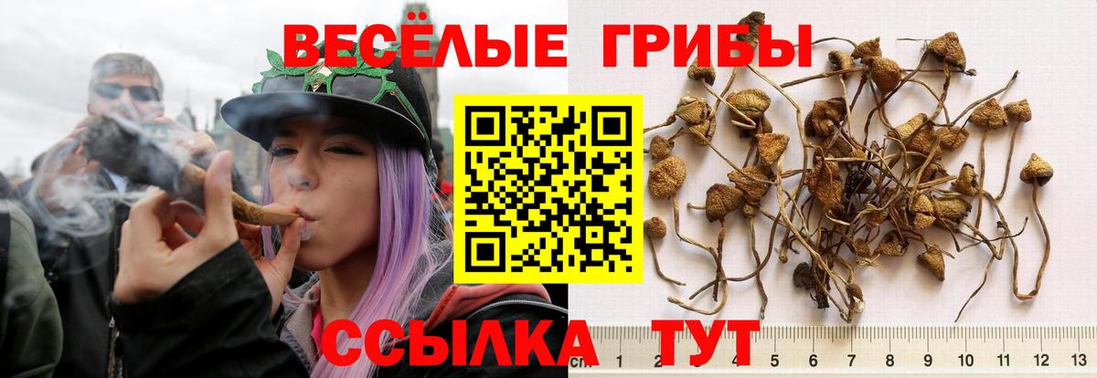 Псилоцибиновые грибы прущие грибы  Вход с VPN  Зерноград  Галлюциногенные грибы MAGIC MUSHROOMS 